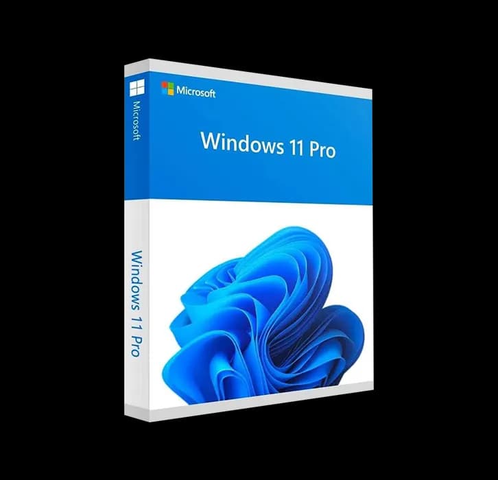 Windows 11 Pro